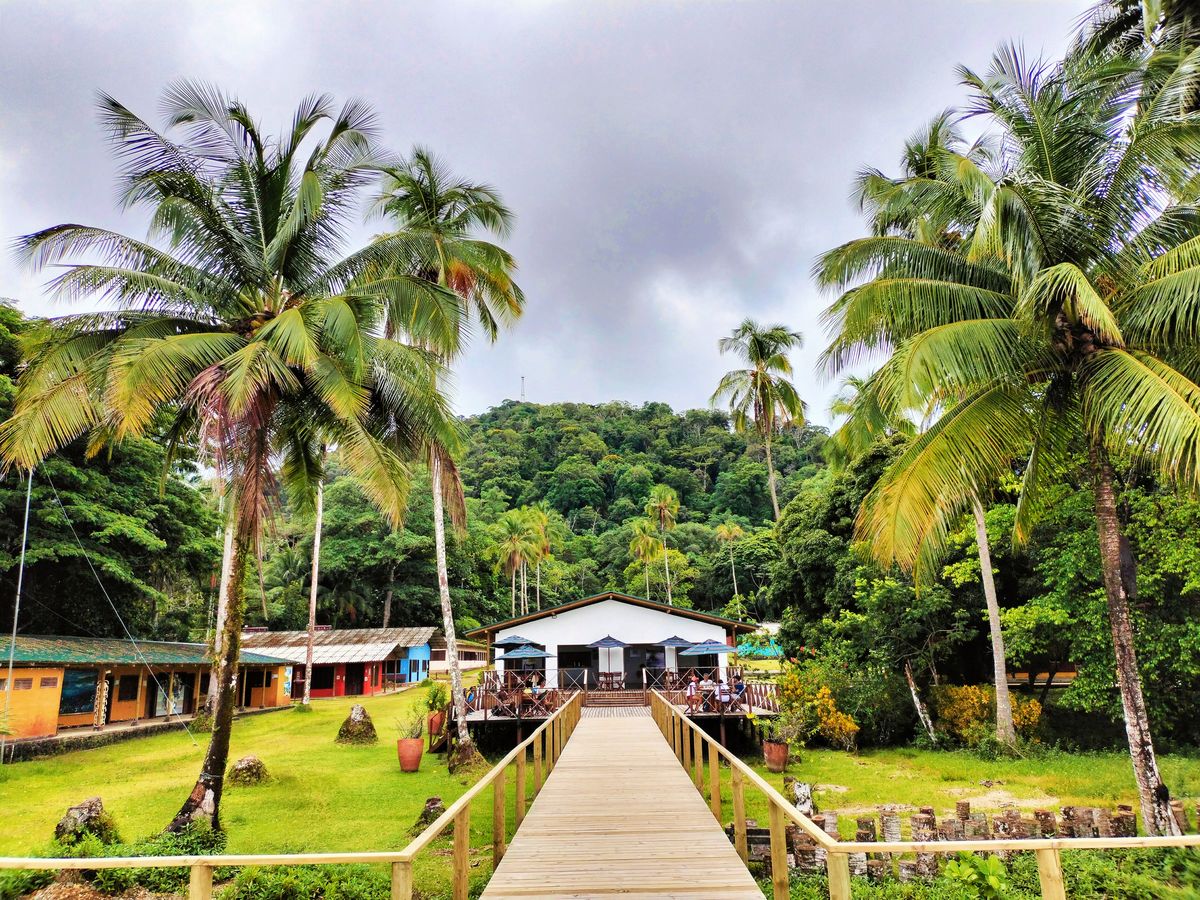 vive-el-pacifico-en-5-dias-magicos-por-guapi-y-gorgona-1200-be21805